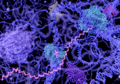 An artist&rsquo;s rendition of transcription inside a nucleus
